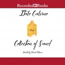 The Collection of Sand Audiobook