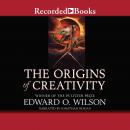 The Origins of Creativity Audiobook