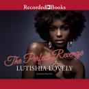 The Perfect Revenge Audiobook