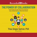 Power of Collaboration: Powerful Insights from Silicon Valley to Successfully Grow Groups, Strenghten Alliances, and Boost Team Potential, Thea Singer Spitzer