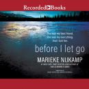 Before I Let Go Audiobook