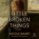 Little Broken Things, Nicole Baart
