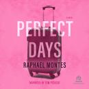 Perfect Days Audiobook