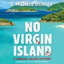 No Virgin Island: A Sabrina Salter Mystery