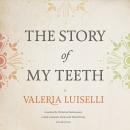 The Story of My Teeth Audiobook