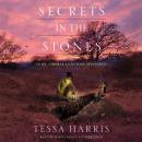Secrets in the Stones: A Dr. Thomas Silkstone Mystery Audiobook