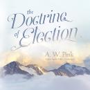 The Doctrine of Election Audiobook