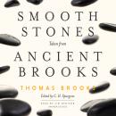 Smooth Stones Taken from Ancient Brooks: Forces of Change in the Post-Crisis World Audiobook