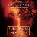 Surrender, New York: A Novel Audiobook