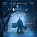 The Hollow of Fear Audiobook