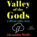 The Valley of the Gods: A Silicon Valley Story Audiobook