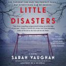 Little Disasters: A Novel, Sarah Vaughan