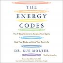 Energy Codes: The 7-Step System to Awaken Your Spirit, Heal Your Body, and Live Your Best Life, Sue Morter
