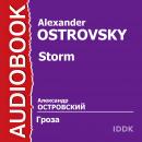 Гроза Audiobook