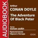 Приключение Черного Питера Audiobook
