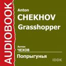 Попрыгунья Audiobook