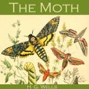 The Moth Audiobook