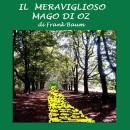 [Italian] - Meraviglioso mago di Oz , Il Audiobook