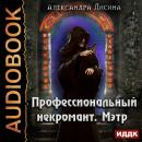 Профессиональный некромант. Книга 1. Мэтр Audiobook