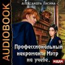 Профессиональный некромант. Книга 2. Мэтр на учебе Audiobook