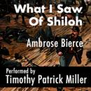 What I Saw Of Shiloh Audiobook