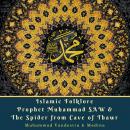 Islamic Folklore Prophet Muhammad SAW & The Spider from Cave of Thawr