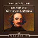 Nathaniel Hawthorne Collection, Nathaniel Hawthorne