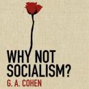 Why Not Socialism? Audiobook