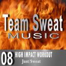 High Impact Audiobook