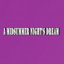 A Midsummer Night's Dream: Shakespeare Series Audiobook