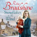 Snowflakes in the Wind Audiobook