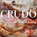 Crudo Audiobook