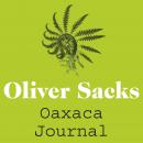 Oaxaca Journal Audiobook