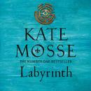 Labyrinth Audiobook