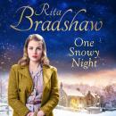 One Snowy Night Audiobook