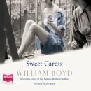 Sweet Caress: The Many Lives of Amory Clay Audiobook