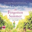 The Forgotten Summer Audiobook