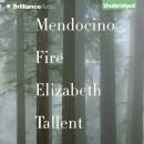 Mendocino Fire: Stories, Elizabeth Tallent
