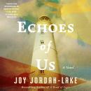 Echoes of Us: A Novel Audiobook