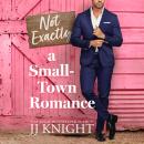 Not Exactly a Small-Town Romance Audiobook