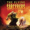 The Flying Sorcerers Audiobook