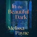 In the Beautiful Dark: A Novel Audiobook
