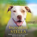 Incredibull Stella: How the Love of a Pit Bull Rescued a Family