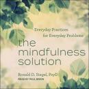 The Mindfulness Solution: Everyday Practices for Everyday Problems Audiobook