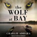 The Wolf at Bay Audiobook