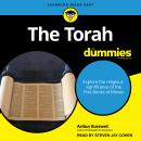 The Torah For Dummies Audiobook