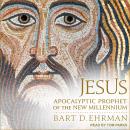 Jesus: Apocalyptic Prophet of the New Millennium Audiobook