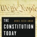 The Constitution Today: Timeless Lessons for the Issues of Our Era Audiobook