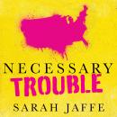 Necessary Trouble: Americans in Revolt Audiobook