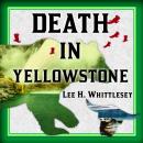 Death in Yellowstone: Accidents and Foolhardiness in the First National Park, Lee H. Whittlesey